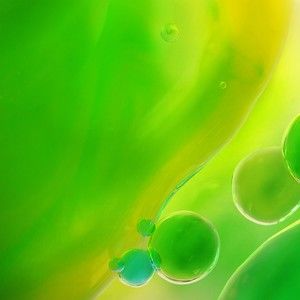 Meet your Posher, Amelia